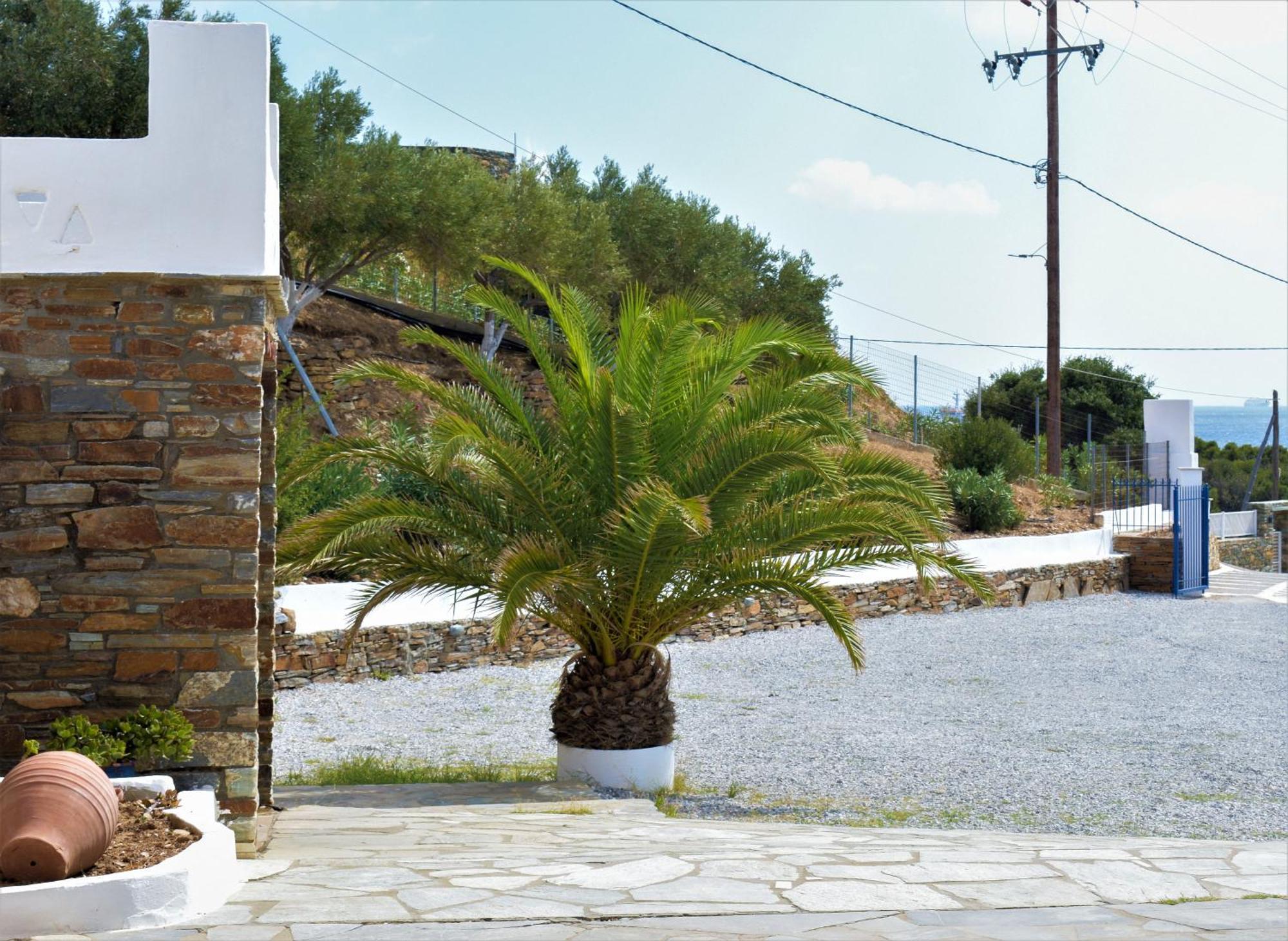 Villa Maniati Studios Agios Petros Exterior photo